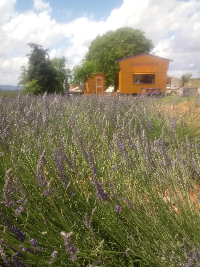 Chambre A La Ferme Au Milieu Des Lavandes Valensole Zewnętrze zdjęcie