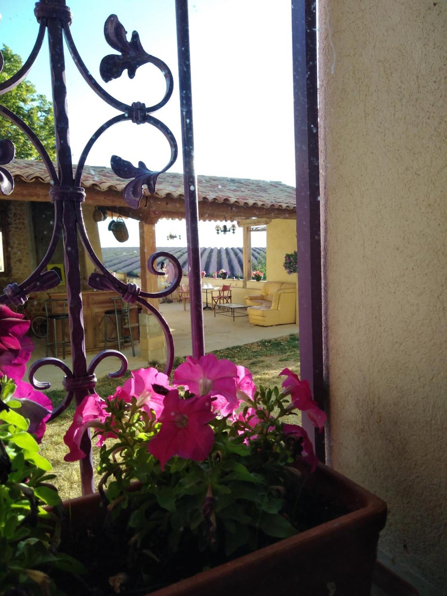 Chambre A La Ferme Au Milieu Des Lavandes Valensole Zewnętrze zdjęcie